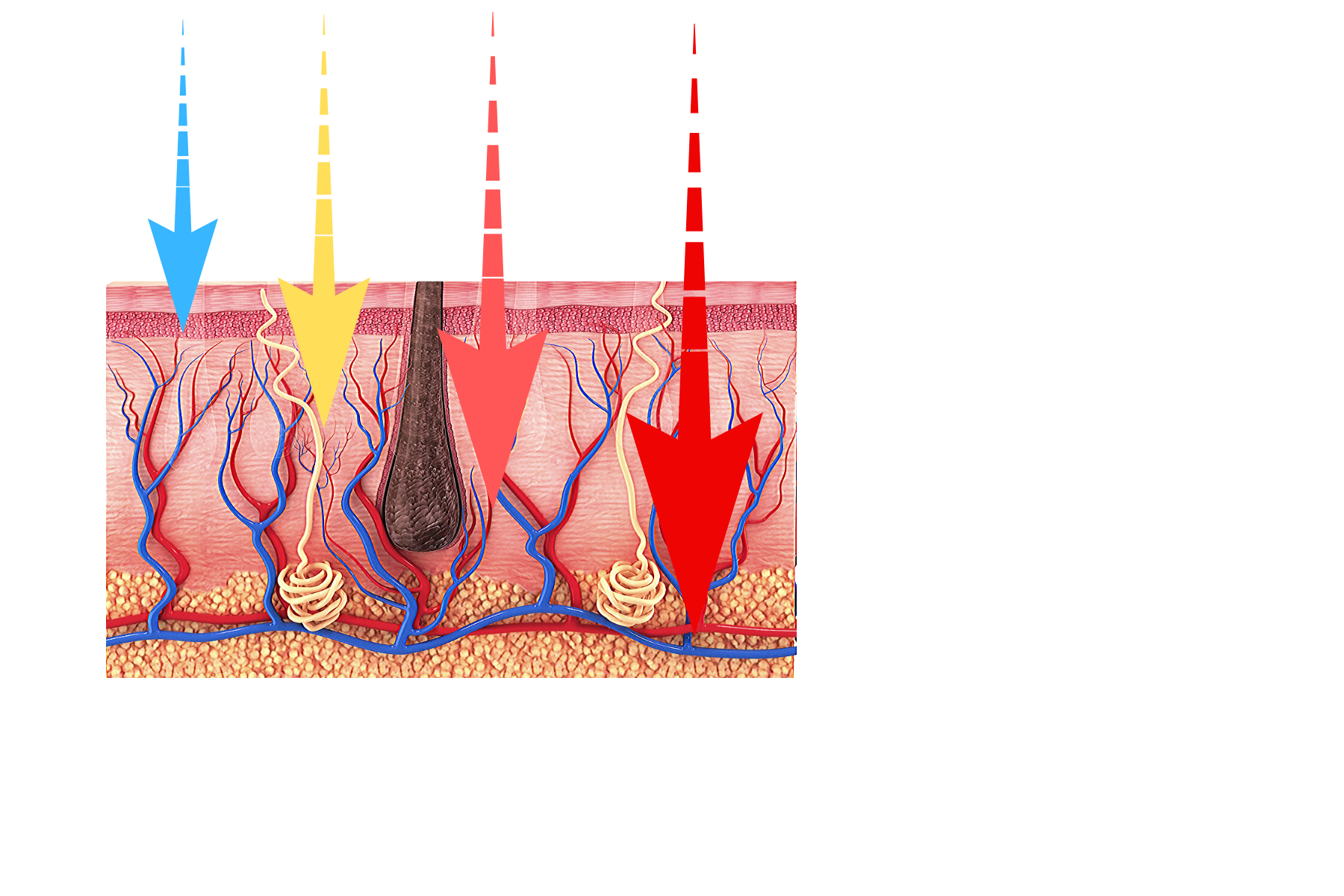 LED SYSTEM, PRO, Paris,couche de la peau, lumière LED, anti-rides, soin visage